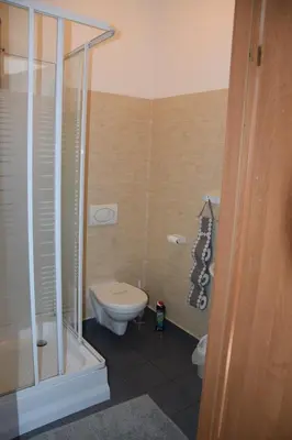 a small bathroom with a toilet and a shower at Noclegi Viktor in Kalwaria Zebrzydowska