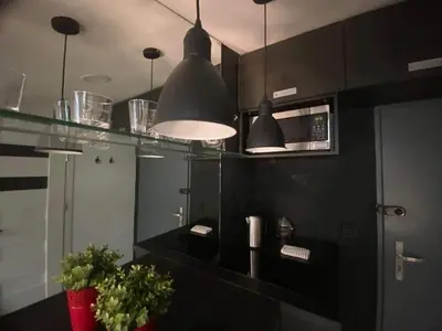 a kitchen with black cabinets and a vase with a plant at Jack Apartment in Old Town in Kraków