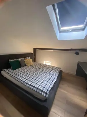 a bedroom with a large bed with a skylight at Jack Apartment in Old Town in Kraków