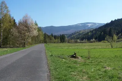 a road in the middle of a field with trees at Hotel Monttis in Sucha Beskidzka