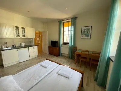 a bedroom with a bed and a tv and two windows at Apartamenty Przy Parku in Rabka