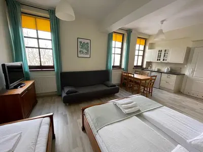 a hotel room with a bed and a kitchen at Apartamenty Przy Parku in Rabka