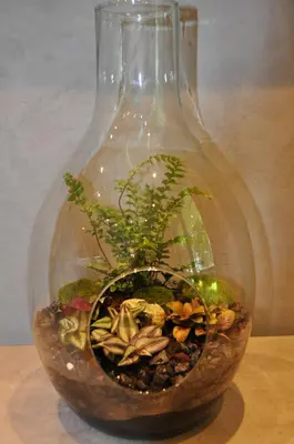 a glass vase with a potted plant in it at Krakowskie Malediwy by JoApart - Tauron Arena, Expo in Kraków
