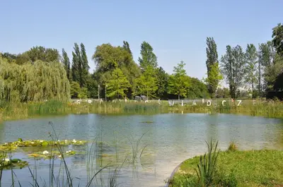 a large pond with some animals in the water at Krakowskie Malediwy by JoApart - Tauron Arena, Expo in Kraków