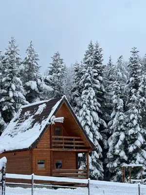 a log cabin with snow on the roof at Domek letniskowy Biedówka in Limanowa