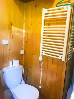 a bathroom with a toilet and a wooden wall at Domek letniskowy Biedówka in Limanowa