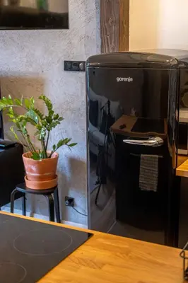 a computer sitting on top of a desk with a plant at Orzeszkowej PREMIUM Apartament in Kraków
