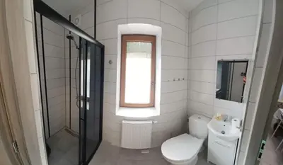 a bathroom with a toilet and a sink and a window at Agroturystyka Leśna Ostoja Borek in Golczowice