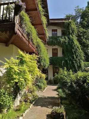 a building with ivy on the side of it at Globtroter Guest House in Kraków