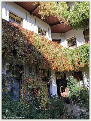 a building with plants on the side of it at Globtroter Guest House in Kraków