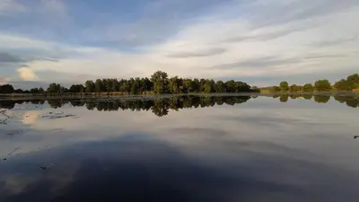a large body of water with trees in the background at Apartament u Joli in Miejsce