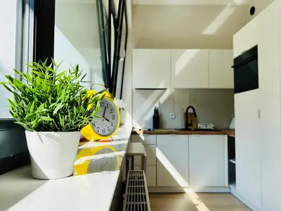 a kitchen with a clock and a plant on a counter at CozyStudio with Sauna in Kraków