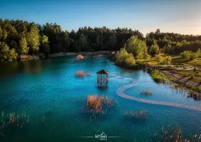 a lake with a gazebo in the middle of it at Leśny zakątek malediwy Jacuzzi free in Jaworzno