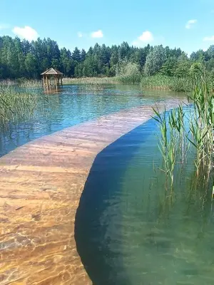 a body of water with a gazebo in the middle at Leśny zakątek malediwy Jacuzzi free in Jaworzno