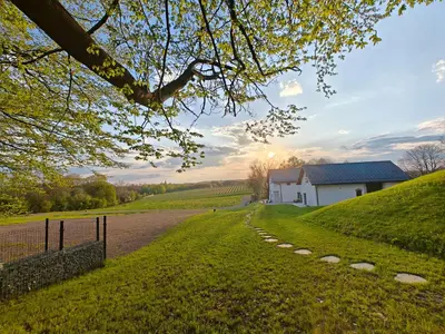 a road leading to a white building on a hill at Winnica NOVI - apartamenty in Cianowice Duże
