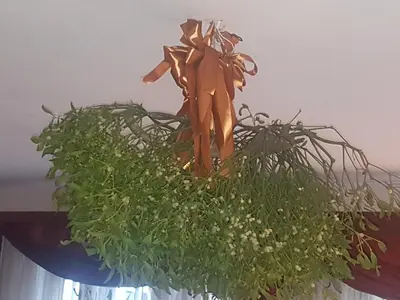a arrangement of green plants in a vase at Willa Marysin in Maków Podhalański
