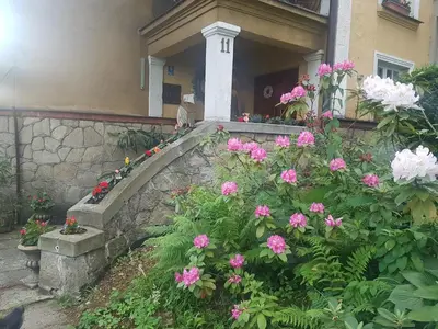 a house with pink flowers in front of it at Willa Marysin in Maków Podhalański
