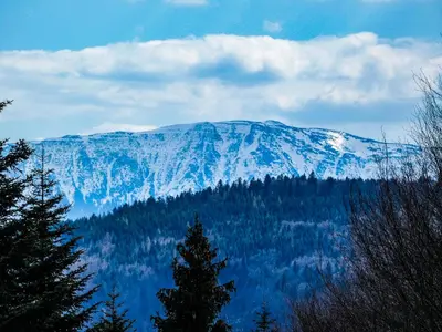 a mountain covered in snow with a tree in the foreground at Agroturystyka Górski Wypoczynek in Stryszawa