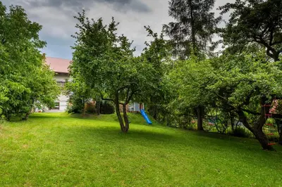 a yard with a tree and a blue slide at Agroturystyka Górski Wypoczynek in Stryszawa