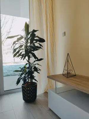 a plant sitting in a room next to a window at Przytulny apartament z ogródkiem in Kraków