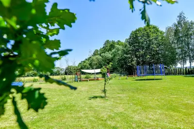 a park with a tree in the grass at KempingZator in Zator