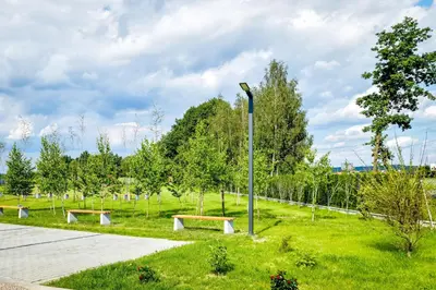 a park with three benches and a light pole at KempingZator in Zator