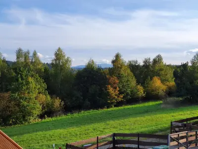 a view of a field with trees in the background at Tarnawa Gold, Sauna, Jacuzzi, Grota solna, in Tarnawa Dolna