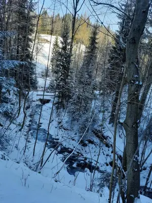 a snow covered field with trees and a creek at Domek na szlaku RIKARDO in Ponice
