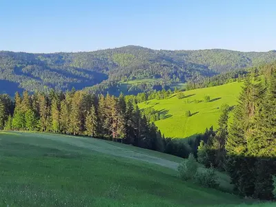 a green field with trees and mountains in the background at Domek na szlaku RIKARDO in Ponice