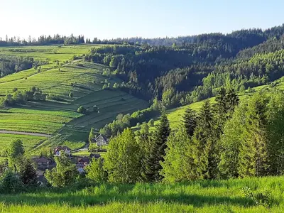 a green hillside with trees and houses on it at Domek na szlaku RIKARDO in Ponice