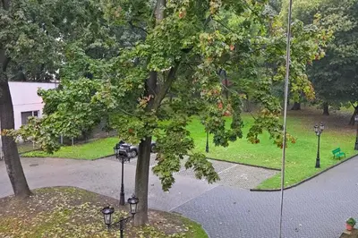 a view of a park with a tree at Urban Nest Apartments Radziwiłłowska 12 in Kraków