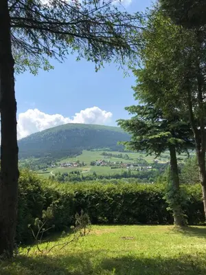 a view of a valley from a park with trees at Zielony Dom in Węglówka