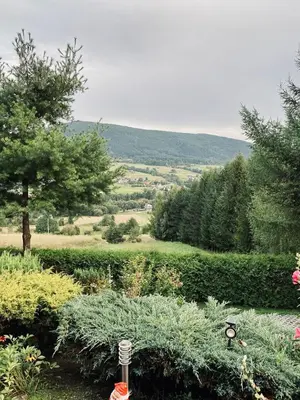 a garden with bushes and a view of a field at Zielony Dom in Węglówka