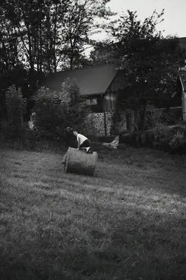 a cat sitting on a barrel in a field at Ojcowski Zakątek-domek z balią oraz drewniany domek do wynajęcia in Wola Kalinowska