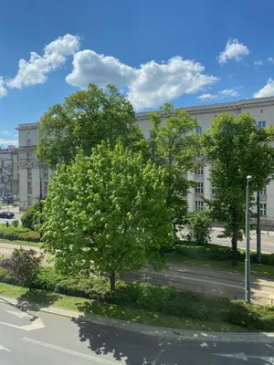 a tree on the side of a street in front of a building at Silver Shine jacuzzi in Kraków