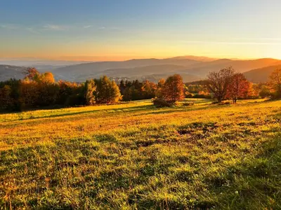 a field of grass with trees and mountains in the background at Pokoje gościnne 28 w skosie in Zawadka