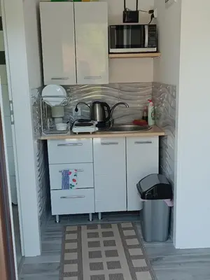 a small kitchen with a sink and a microwave at Staś-przy szkole nr3 w Skawie in Skawa