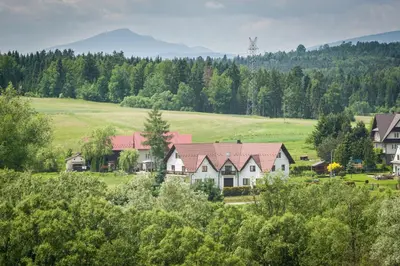 a group of houses in a field with trees at Staś-przy szkole nr3 w Skawie in Skawa