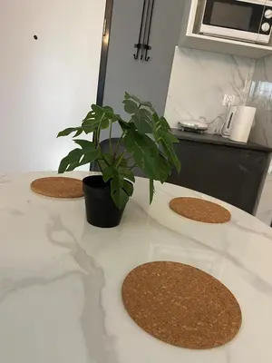 a plant sitting on top of a kitchen counter at krakow dream apartment in Kraków