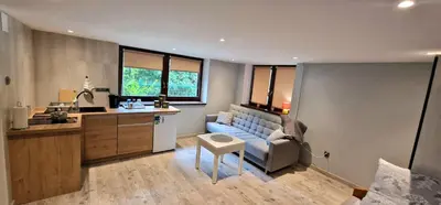 a kitchen and living room with a couch and a table at Apartament Leśny in Nowy Targ