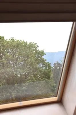 a window with a view of a tree at Chatki Osada Babia Raj Zawoja in Zawoja