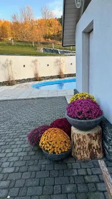 two pots of flowers sitting on top of a building at Willa Sonia Zawoja in Zawoja
