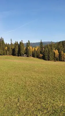 a large grass field with a horse in the distance at Domek w górach pod Jodłami in Nowy Targ