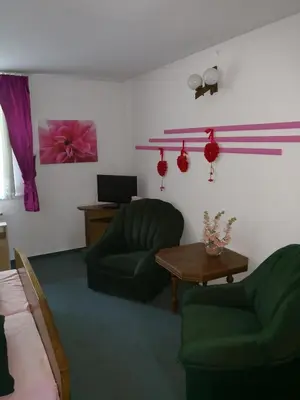 a living room with two green chairs and a table at Noclegi Hexe in Żegocina