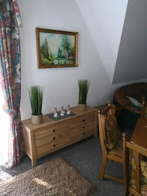 a bedroom with a dresser with two plants on it at Noclegi Hexe in Żegocina