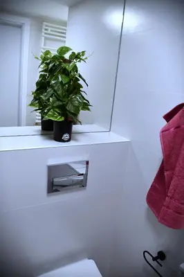 a plant sitting on a shelf above a bathroom sink at M-Keys Apartments Kraków Old Town Kazimierz in Kraków