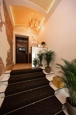 a hallway with a staircase with plants in front of a door at Hive Family House in Kraków