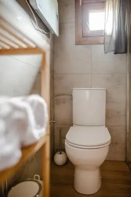 a white toilet in a bathroom with a window at Domki na Górniej Łące - Dwa Wróble in Łazany