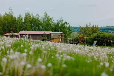 a field of white flowers in front of a building at Domki na Górniej Łące - Dwa Wróble in Łazany