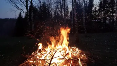 a bonfire in the middle of a field at night at Apartament Podskalański in Szyce